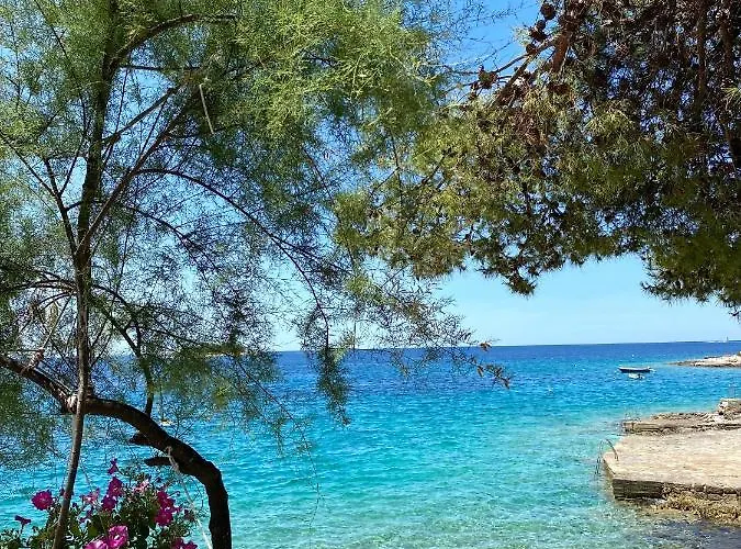 Sunny Side Appartement *